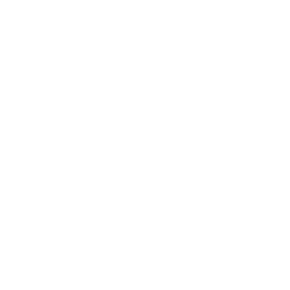 Vitalie Burlacu