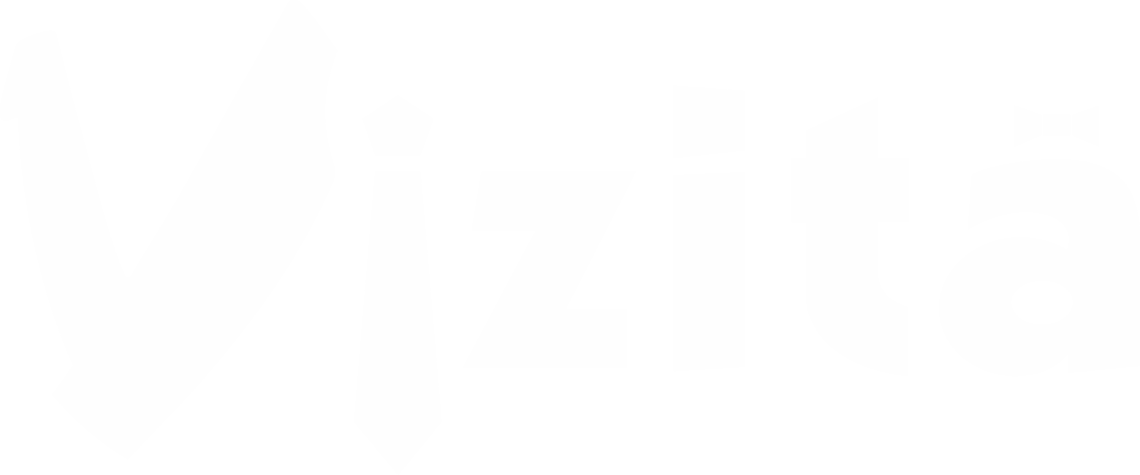 Vizită