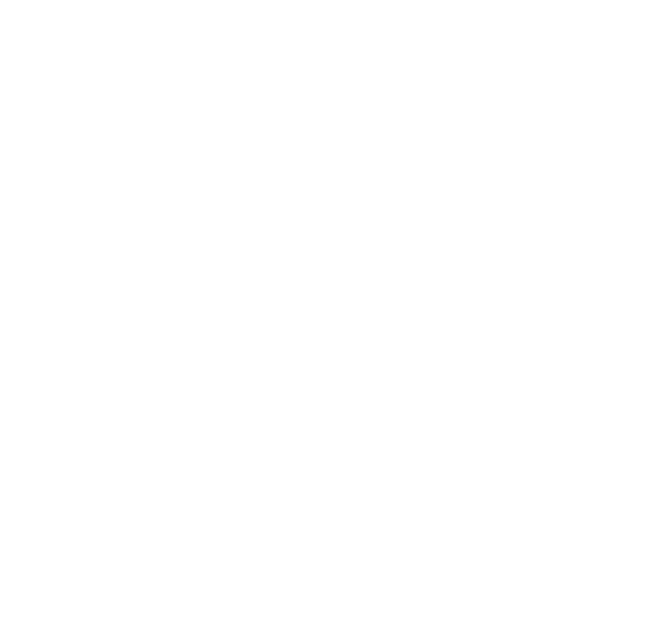 SALAD BOX